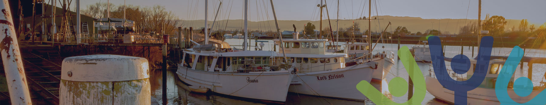 Launceston Group of Specialist Anaesthetists - About Us